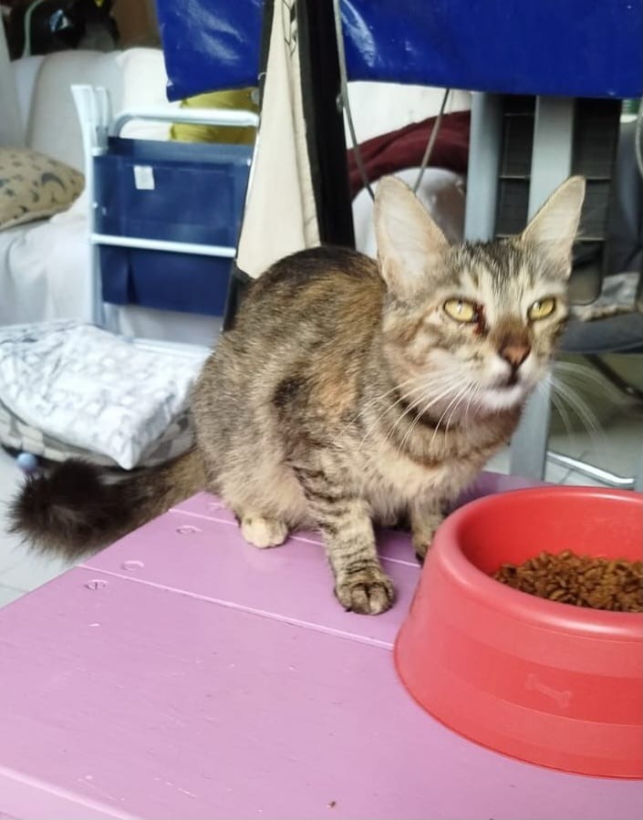 Marita